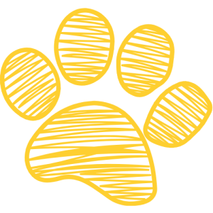 Coping Cat empirically supported treatment for childhood anxiety offered in Pennsylvania